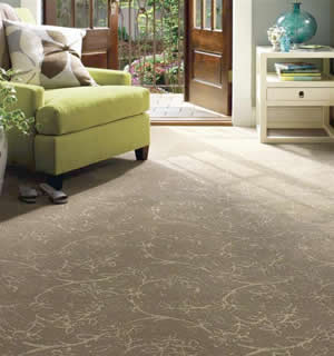 Professional carpet cleaning in Christchurch