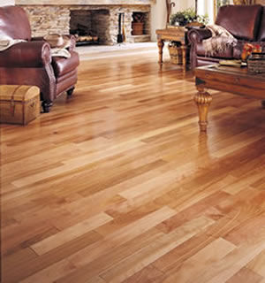 Hard floor cleaning and polishing